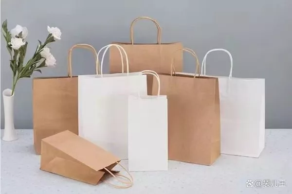 Custom Printe Kraft Bags