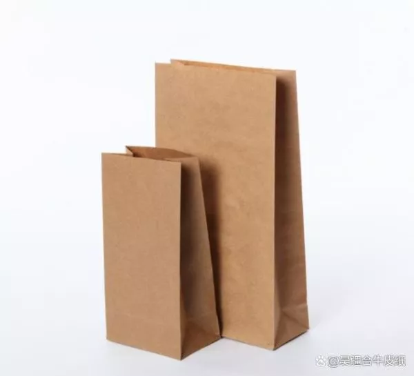 Custom Printe Kraft Bags