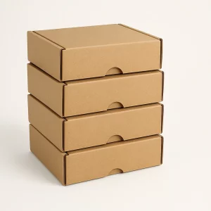 Mailer Box